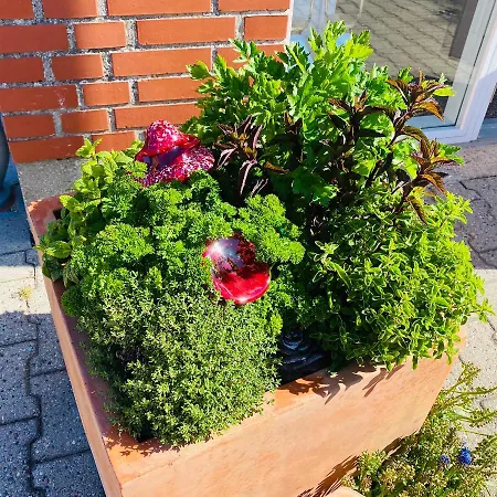 Med Udsigt Over Nordmors Appartamento