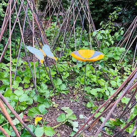 Appartamento Med Udsigt Over Nordmors Sejerslev