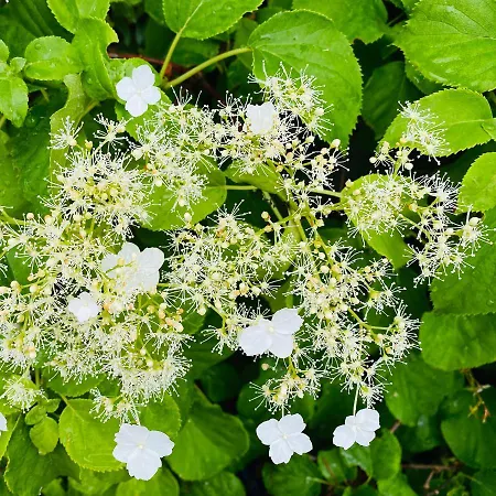 Med Udsigt Over Nordmors