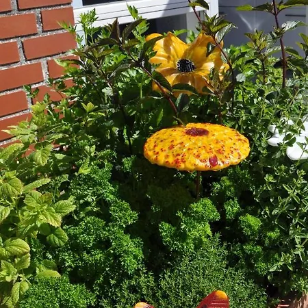 Med Udsigt Over Nordmors