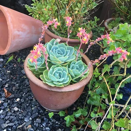 Appartamento Med Udsigt Over Nordmors