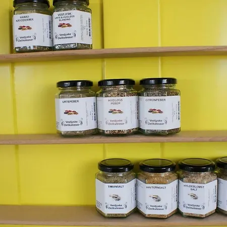 Med Udsigt Over Nordmors Appartamento *