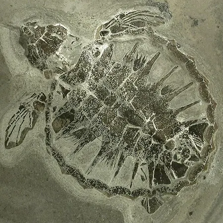 Med Udsigt Over Nordmors Sejerslev