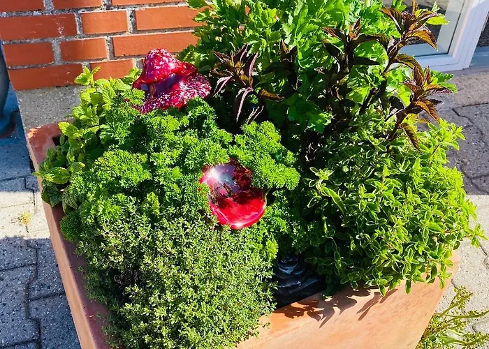 Med Udsigt Over Nordmors Апартаменты