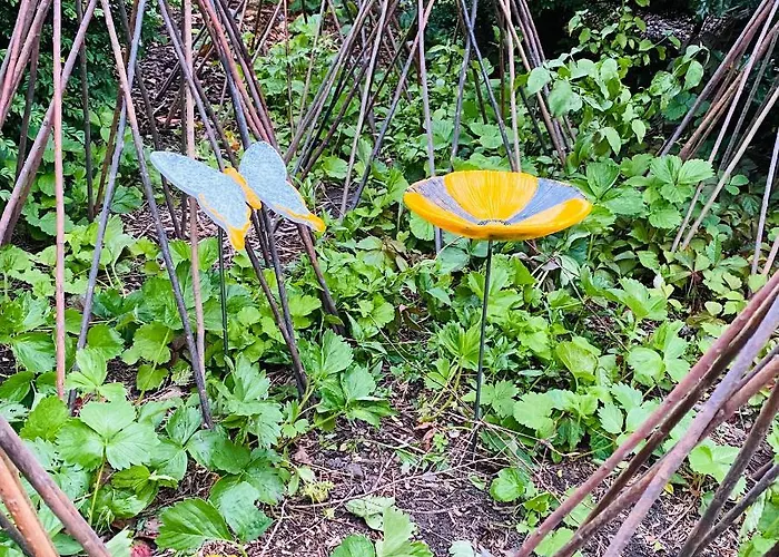 Апартаменты Med Udsigt Over Nordmors Sejerslev