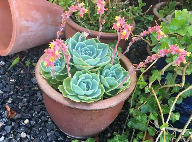 Апартаменты Med Udsigt Over Nordmors