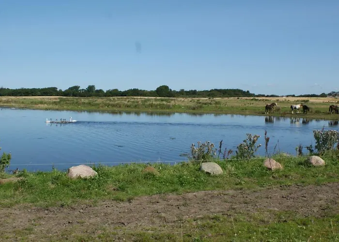 Med Udsigt Over Nordmors Sejerslev