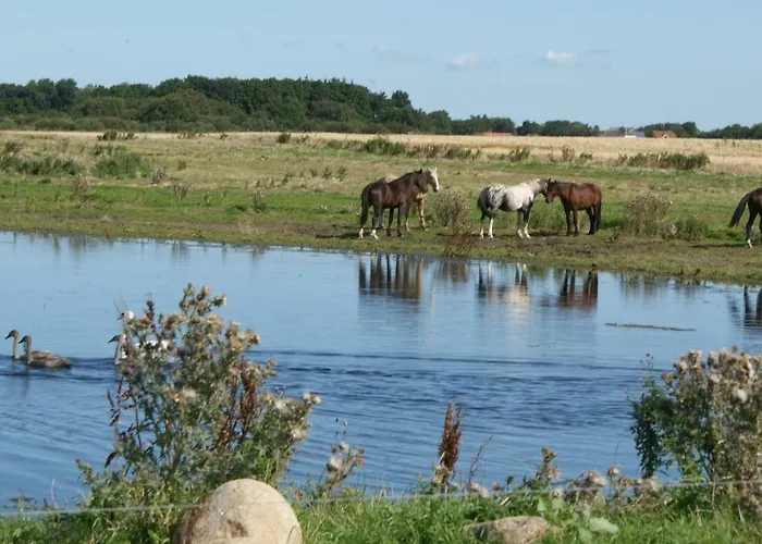 Med Udsigt Over Nordmors * Sejerslev